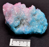 BUNNY CRYSTAL PACK P1109