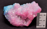 BUNNY CRYSTAL PACK P1109