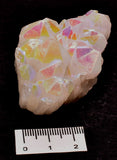 BUNNY CRYSTAL PACK P1109
