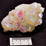 BUNNY CRYSTAL PACK P1109