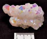 BUNNY RABBIT CRYSTAL PACK P403
