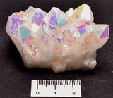 BUNNY RABBIT CRYSTAL PACK P403