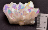 BUNNY RABBIT CRYSTAL PACK P403