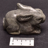 BUNNY RABBIT CRYSTAL PACK P404