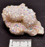 BUNNY CRYSTAL PACK P1112