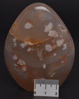 FLOWER AGATE FREEFORM P360
