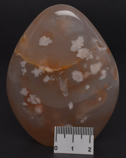 FLOWER AGATE FREEFORM P360