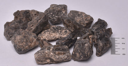 DARWIN GLASS Meteorite 100 grams MT14