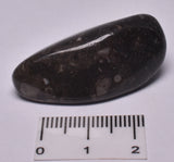 VATICAN STONE POLISHED CRYSTAL TUMBLE P641