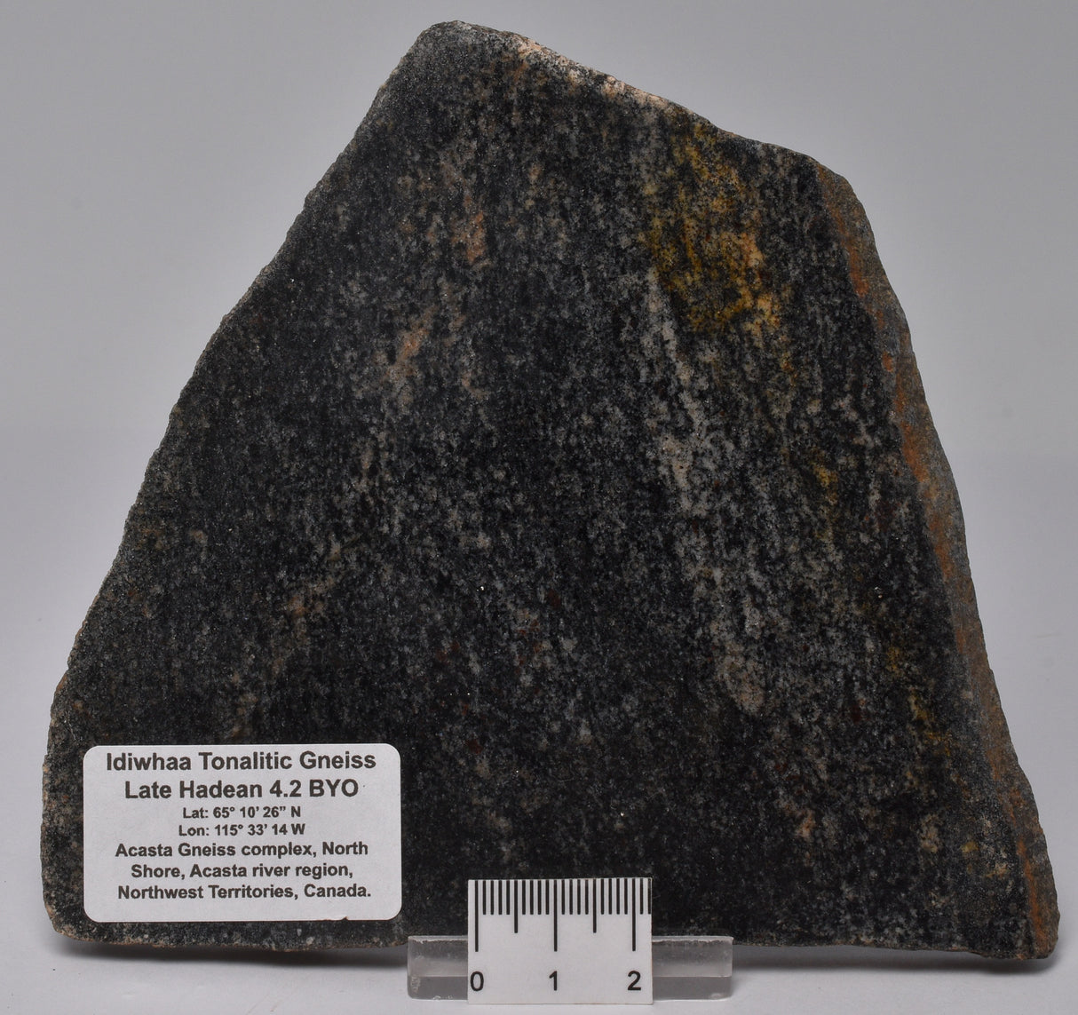 METEORITE IMPACT MELT, Idiwhaa Tonalitic Gneiss, Oldest Rock In the World S941