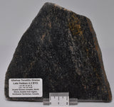 METEORITE IMPACT MELT, Idiwhaa Tonalitic Gneiss, Oldest Rock In the World S941