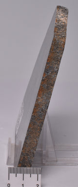 METEORITE IMPACT MELT, Idiwhaa Tonalitic Gneiss, Oldest Rock In the World S941