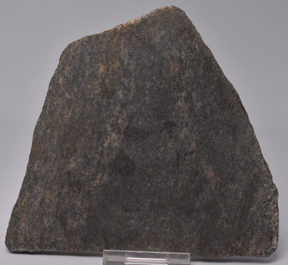 METEORITE IMPACT MELT, Idiwhaa Tonalitic Gneiss, Oldest Rock In the World S941