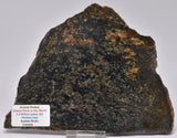 ACASTA GNEISS SLICE, “OLDEST ROCK" CANADA S465