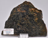 ACASTA GNEISS SLICE, “OLDEST ROCK" CANADA S465