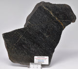 ACASTA GNEISS SLICE “OLDEST ROCK IN THE WORLD" CANADA S470