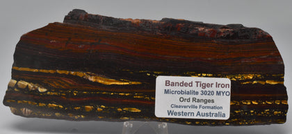 BANDED TIGER IRON Polished Slice 175 grams AUSTRALIA S497