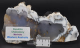 Merlinite Polished Slice, Dentritic Chalcedony, 95 grams Australia S477