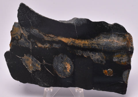 MICROBIALITE  STROMATOLITE, Isua banded iron, 3.77 B.Y.A. Greenland S902