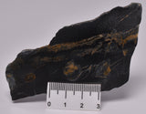 MICROBIALITE  STROMATOLITE, Isua banded iron, 3.77 B.Y.A. Greenland S903