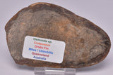 OSMUNDA SLICE, CRETACEOUS, MILES, CHINCHILLA, QUEENSLAND, AUSTRALIA S925