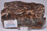 STROMATOLITE Microbial Fossil Mat Dresser Formation, Australia SLICE S1141