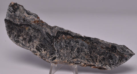 STROMATOLITE DRESSER fmt, MICROBIALITE NORTH POLE DOME Australia S846