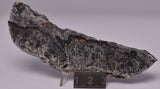 STROMATOLITE DRESSER fmt, MICROBIALITE NORTH POLE DOME Australia S846