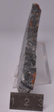 STROMATOLITE DRESSER fmt, MICROBIALITE NORTH POLE DOME Australia S846