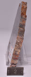 STROMATOLITE Microbial Fossil Mat Dresser Formation, Australia SLICE S795