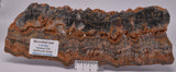 STROMATOLITE Microbial Fossil Mat Dresser Formation, Australia S1056
