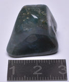 MOSS AGATE POLISHED TUMBLE P538