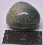 MOSS AGATE POLISHED TUMBLE P448