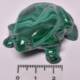 MALACHITE CRYSTAL FROG CARVING P827