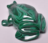 MALACHITE CRYSTAL FROG CARVING P827