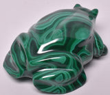 MALACHITE CRYSTAL FROG CARVING P827