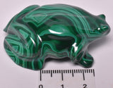 MALACHITE CRYSTAL FROG CARVING P827