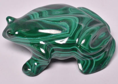 MALACHITE CRYSTAL FROG CARVING P827