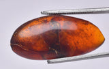 AMBER DOMINICAN REPUBLIC P602