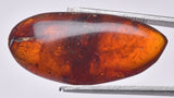 AMBER DOMINICAN REPUBLIC P602