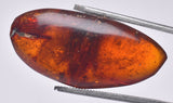 AMBER DOMINICAN REPUBLIC P602
