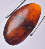 AMBER DOMINICAN REPUBLIC P602