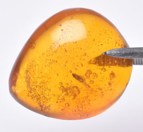 AMBER DOMINICAN REPUBLIC P605