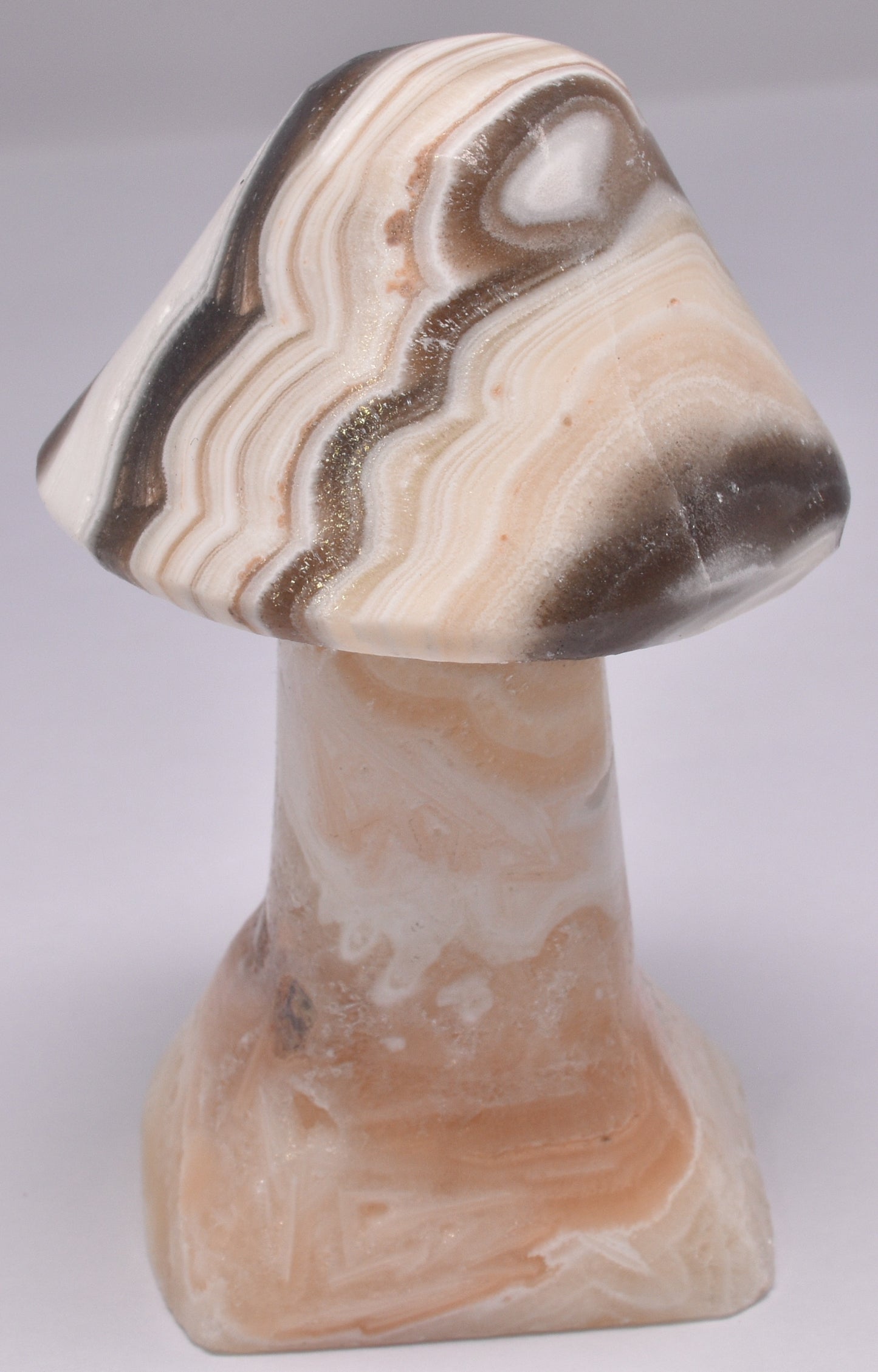 ARAGONITE MUSHROOM CARVING P618