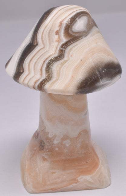 ARAGONITE MUSHROOM CARVING P618