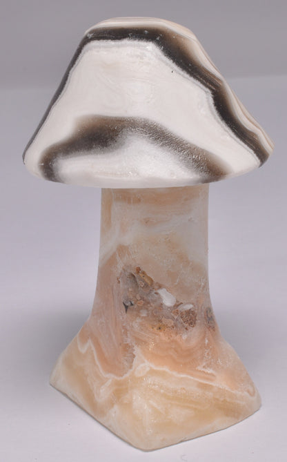 ARAGONITE MUSHROOM CARVING P618