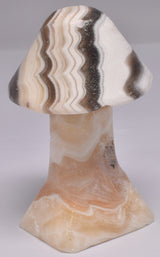 ARAGONITE MUSHROOM CARVING P618