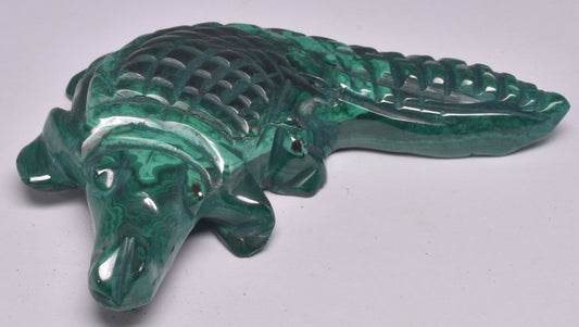 MALACHITE CRYSTAL ALLIGATOR CARVING P492