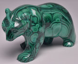 MALACHITE CRYSTAL BEAR CARVING P498