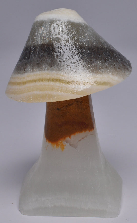 ARAGONITE MUSHROOM CARVING P1046
